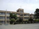 甲府市立湯田小学校(小学校)まで674m サザンコート