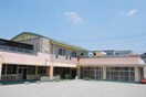 和成保育園(幼稚園/保育園)まで712m ティアレ上石田