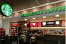 ｽﾀｰﾊﾞｯｸｽｺｰﾋｰ 甲府ｱﾙﾌﾟｽ通り店(その他飲食（ファミレスなど）)まで483m Hts Of Hts　ハイツ２１