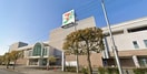 マクドナルド 甲府昭和イトーヨーカドー店(その他飲食（ファミレスなど）)まで361m ＰＯ・ＥＭ