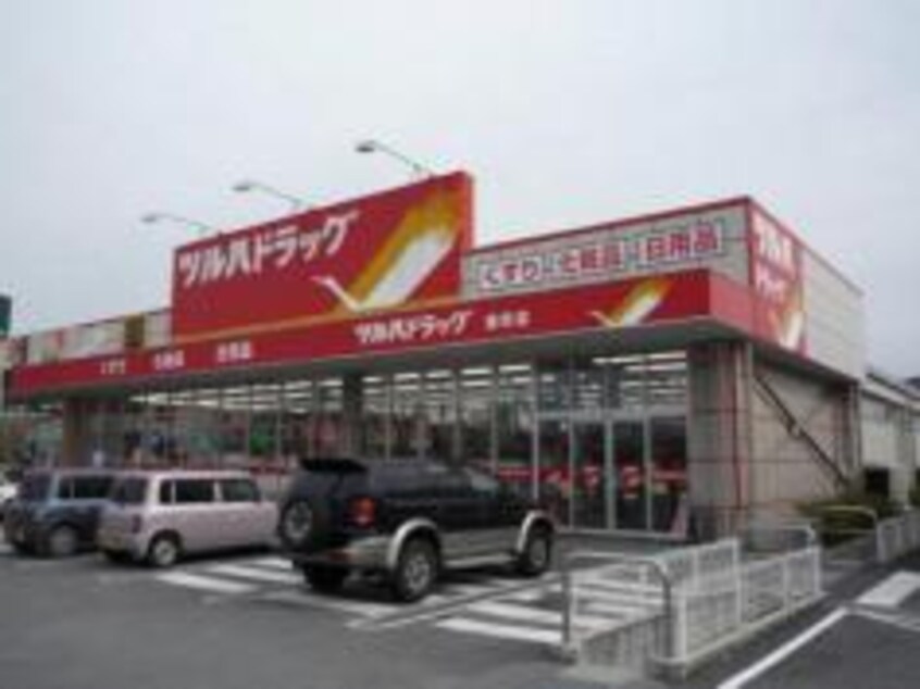 ﾂﾙﾊﾄﾞﾗｯｸﾞ 甲府高畑店(ドラッグストア)まで734m エレガントハイツＡ