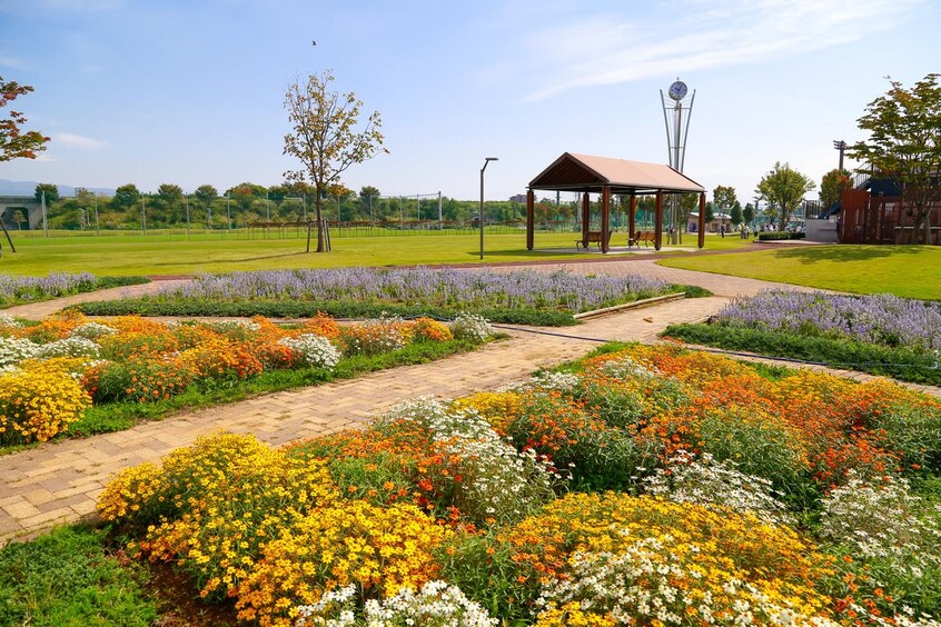 押原公園(公園)まで2882m アルタフォーレ　B