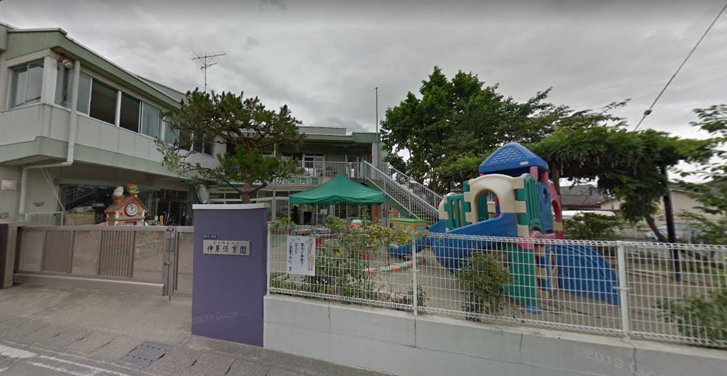 伸芽保育園(幼稚園/保育園)まで241m プラシードK