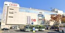 CELEO（ｾﾚｵ）甲府(ショッピングセンター/アウトレットモール)まで1805m カーサルーチェ