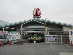 ｺﾒﾘﾊｰﾄﾞ＆ｸﾞﾘｰﾝ大里店(電気量販店/ホームセンター)まで1517m グランシャリオ　Ａ