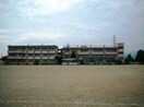 甲府市立大里小学校(小学校)まで724m グランシャリオ　Ａ