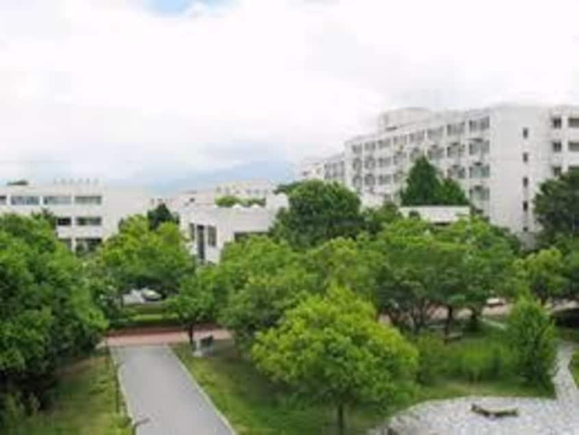 国立山梨大学医学部(大学/短大/専門学校)まで2459m メゾンイトウI