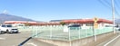 中央市立田富第一保育園(幼稚園/保育園)まで796m サンライフナカゴミ