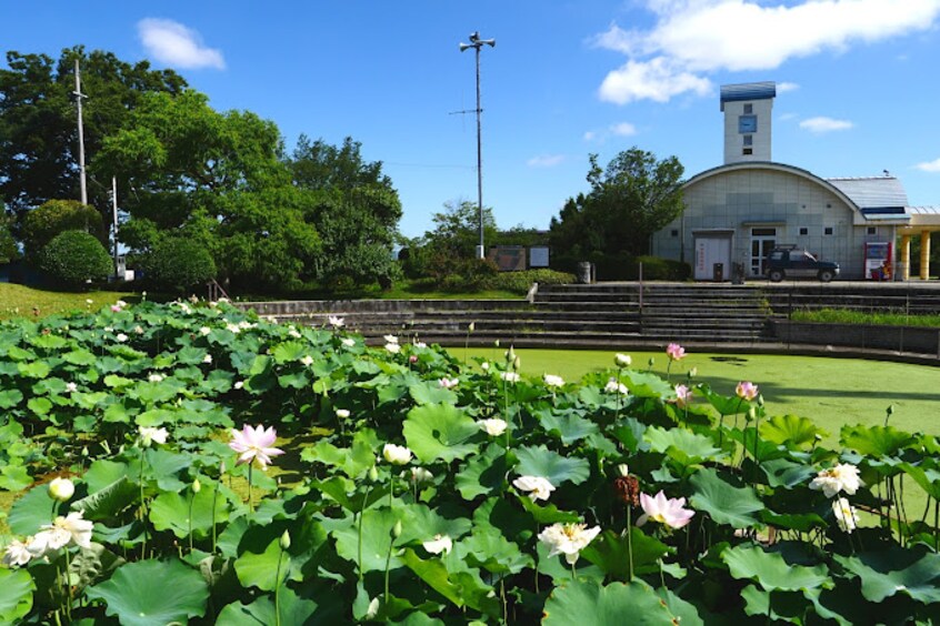 中央市玉穂ふるさとふれあい広場(公園)まで1324m エスポワール・N　A