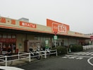 ｻﾞ･ﾋﾞｯｸﾞ ｲｵﾝﾀｳﾝ山梨中央店(スーパー)まで1114m ショコラコート　A