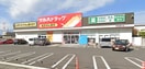ﾂﾙﾊﾄﾞﾗｯｸﾞ 甲府徳行店(ドラッグストア)まで320m ハイツ飯島Ａ
