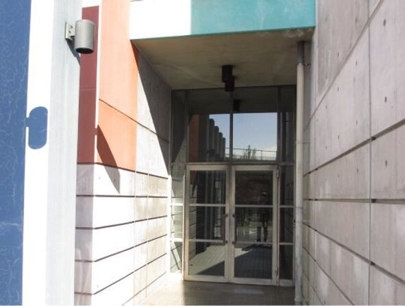  ヴィーヴォ・ダ・ソロ