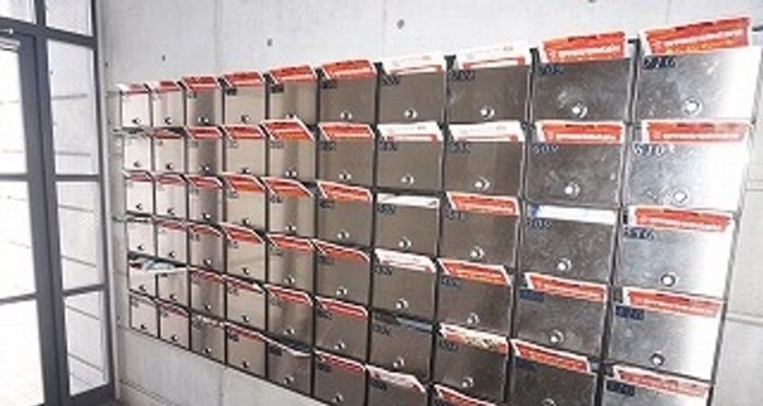  ヴィーヴォ・ダ・ソロ