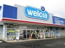 ｳｴﾙｼｱ甲府徳行店(ドラッグストア)まで103m D-ROOM　清水新居　II