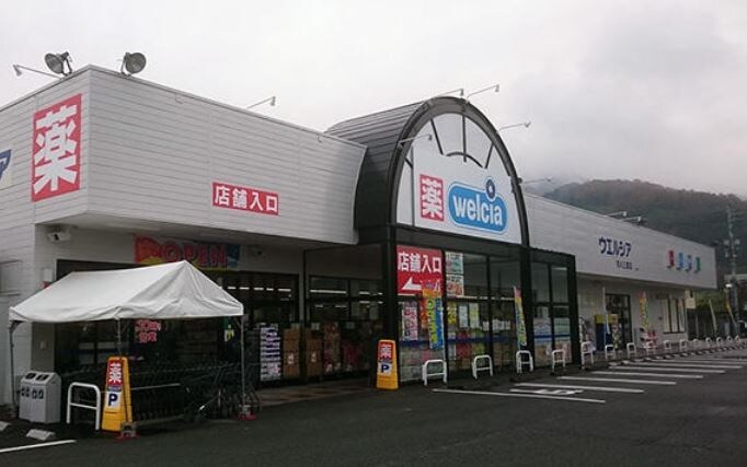 ｳｴﾙｼｱ市川三郷店(ドラッグストア)まで422m ハイツサンフラワー　B