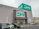 ニトリ甲府店まで1200m ソレイユＡ