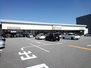 カワチ薬品甲府中央店まで1300m ウィステリア甲府