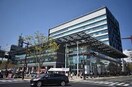 甲府市役所(役所)まで1126m D-ROOM　若松町