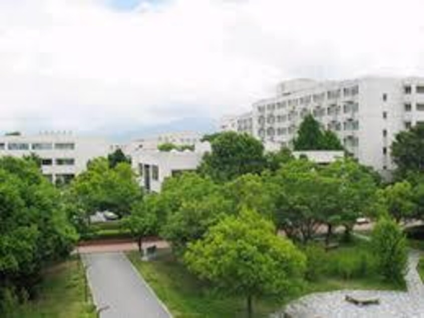 国立山梨大学医学部(大学/短大/専門学校)まで3369m LiFE 1074