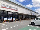 カワチ薬品小瀬店まで600m ソレイユＢ