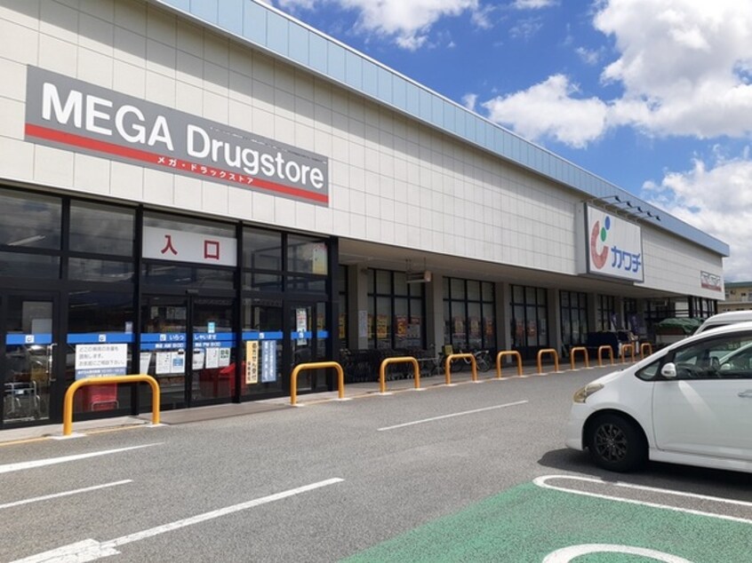 カワチ薬品小瀬店まで600m ソレイユＢ