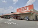 ザ・ビッグ甲府長松寺店まで1400m ウッド　ウィル