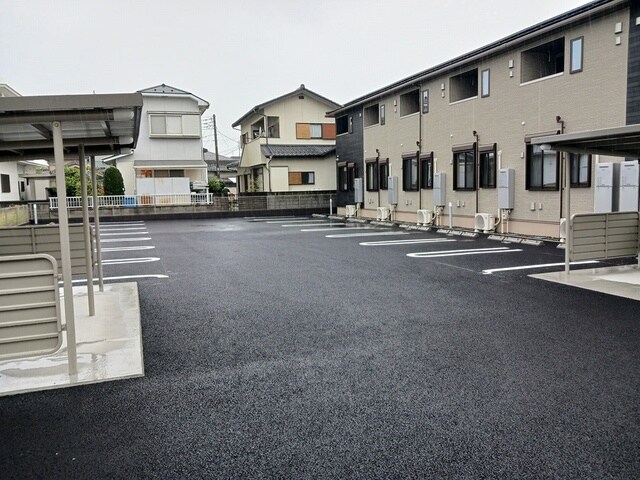  ウッド　ウィル