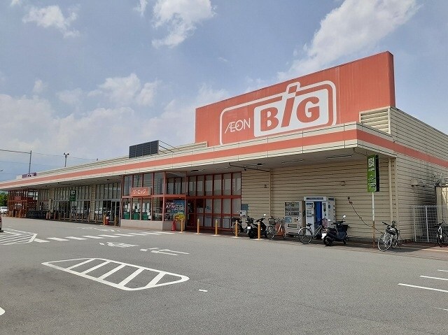 ザ・ビッグ甲府長松寺店まで1400m ウッド　ウィル