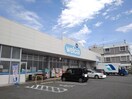 ウエルシア甲府富竹店まで1100m ウッド　ウィル