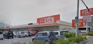The Big（ｻﾞ･ﾋﾞｯｸﾞ） 甲府長松寺店(スーパー)まで1263m ウッド　ウィル