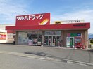 ツルハドラッグ甲府国母店まで1300m ヒカルサ甲府国母　イースト