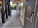  レオパレスペパーミント