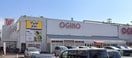 マツモトキヨシオギノイーストモールSCバリオ店(ドラッグストア)まで802m レオパレスペパーミント