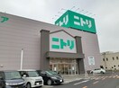 ニトリ甲府店まで200m ベリッシマ　II