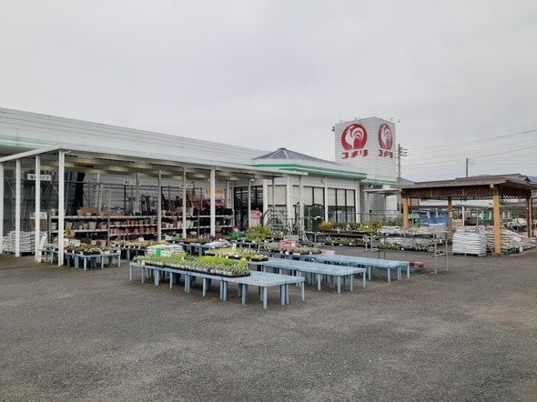 コメリハード＆グリーン大里店まで200m ザ　サンズ