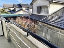  Green roof