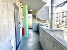  Green roof