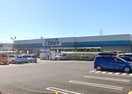 DCM 和戸店(電気量販店/ホームセンター)まで798m Green roof