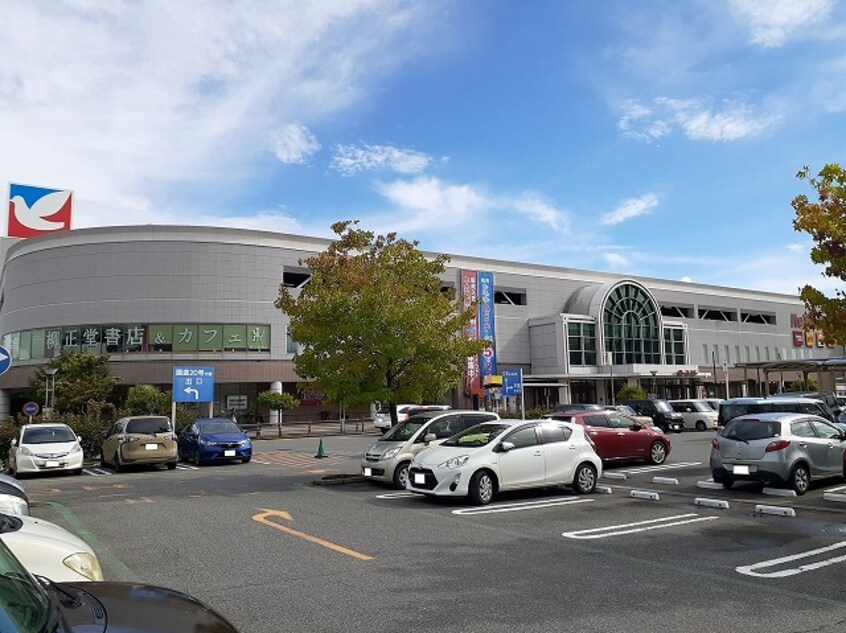 イトーヨーカドー甲府昭和店まで550m Ｂ・Ｂエイト