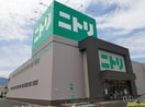 ニトリ田富店まで2700m カーサ・ボヌール