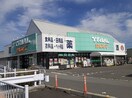 トライアル西花輪店まで1100m カーサ・ボヌール