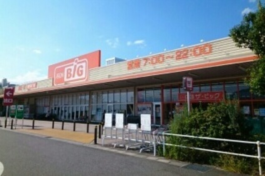 ザ・ビッグ山梨中央店まで600m セントラル　スクエア
