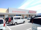 オギノ上今井店まで1500m パルク　ド　ソレイユ