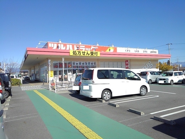 ツルハドラッグ山梨中央店まで1200m ルミエールマキタ