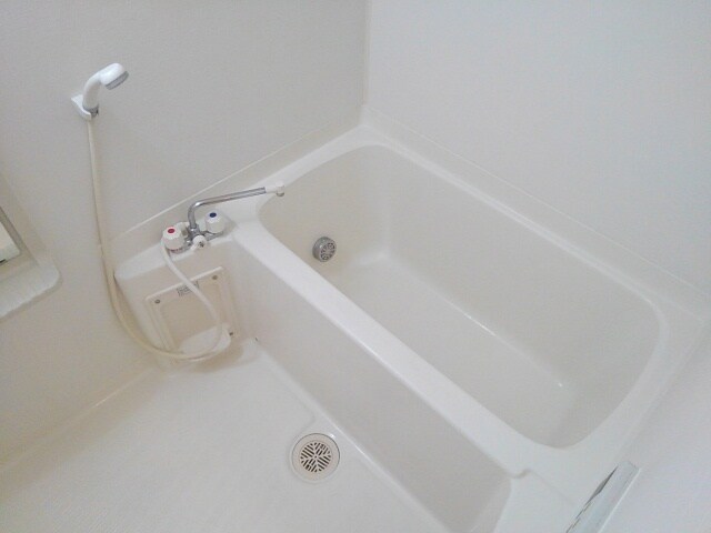  ラグジュアリー