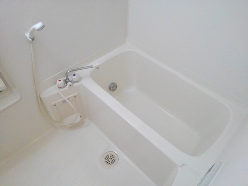  ラグジュアリー