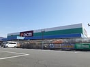 ＤＣＭ甲府住吉店まで1400m ヒカルサ甲府国母　ノースI
