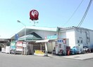 ｺﾒﾘﾊｰﾄﾞ＆ｸﾞﾘｰﾝ敷島店(電気量販店/ホームセンター)まで63m アパートメント・シマカ