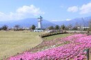 赤坂台総合公園（ﾄﾞﾗｺﾞﾝﾊﾟｰｸ）(公園)まで3252m ブランフルール