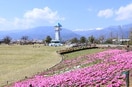 赤坂台総合公園（ﾄﾞﾗｺﾞﾝﾊﾟｰｸ）(公園)まで3320m Ａbbey Road（アビーロード）